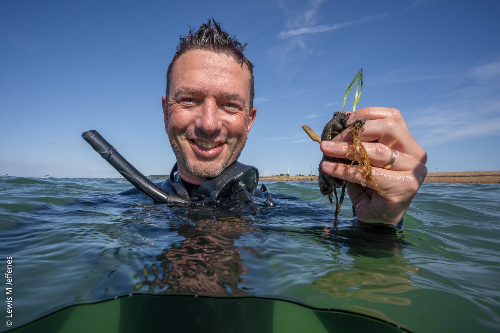The planetary role of seagrass conservation
