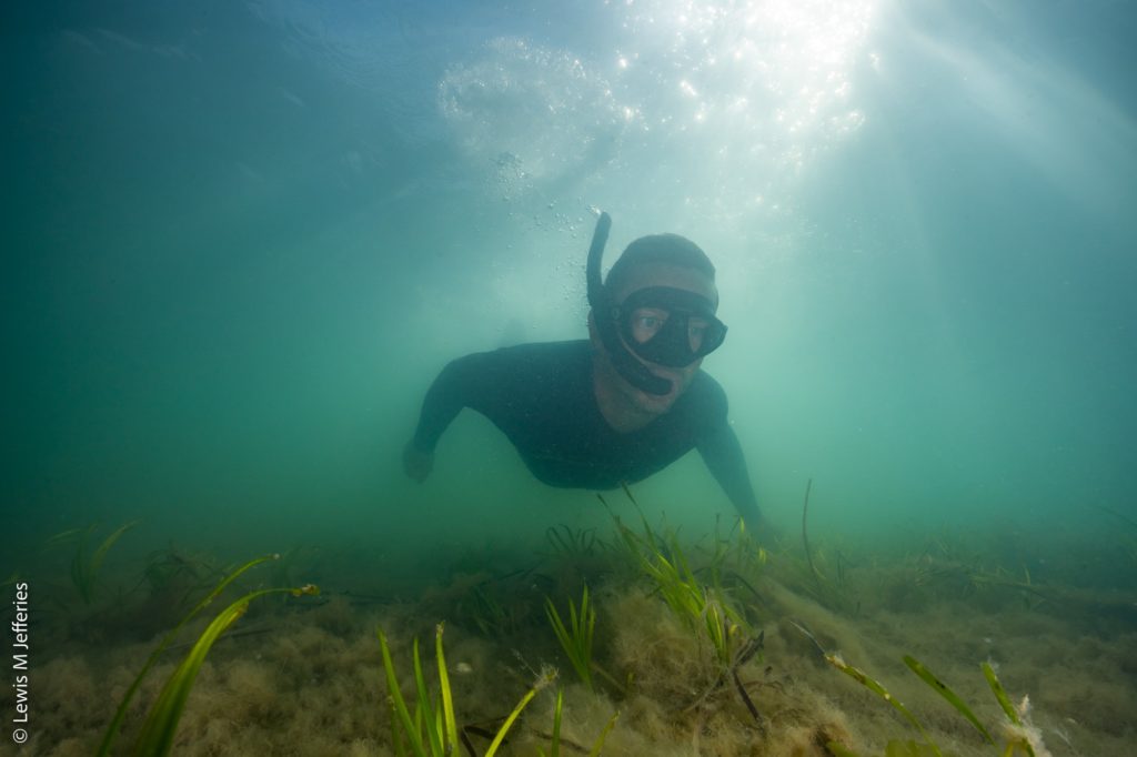 A white man in a wetsuit, wearing a snorkel and goggles, swimming underwater over a seagrass meadow