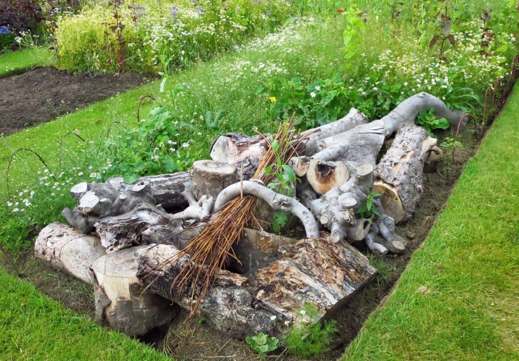 Plot at RBGE with stumpery by Rebecca Cross