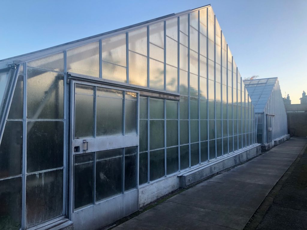 Winter morning exterior view of two glasshouses.