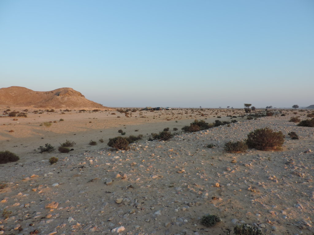 Image shows a sandy desert with scattered small bushes, dunes behind and a clear blue sky