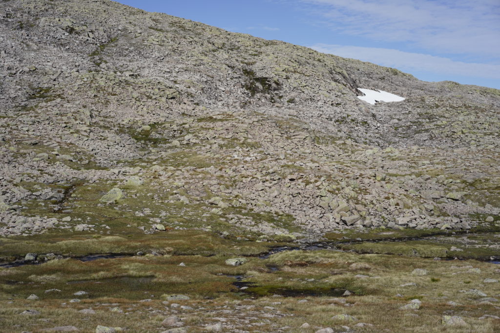 A rocky mountain slope with a grassy foreground and a small patch of snow towards one side