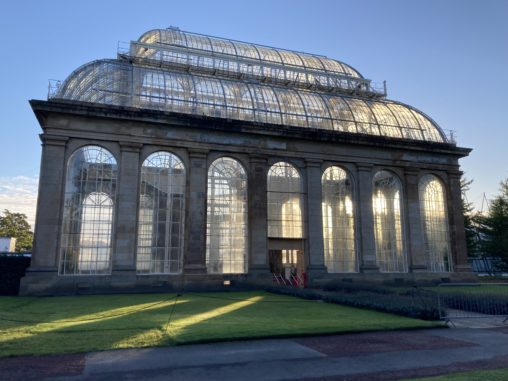 Palm House with sun streaming through the glazing