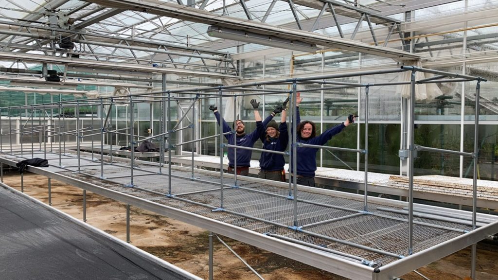 3 people stand in a glasshouse, celebrating with arms raised