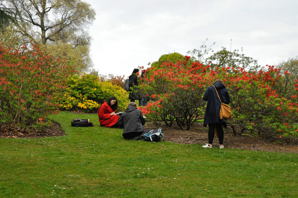 Five people in outdoor clothes, standing and sitting on grass around a red-flowering shrub, sketching or writing