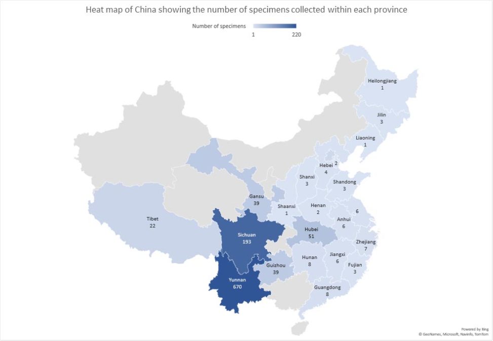 China heat map