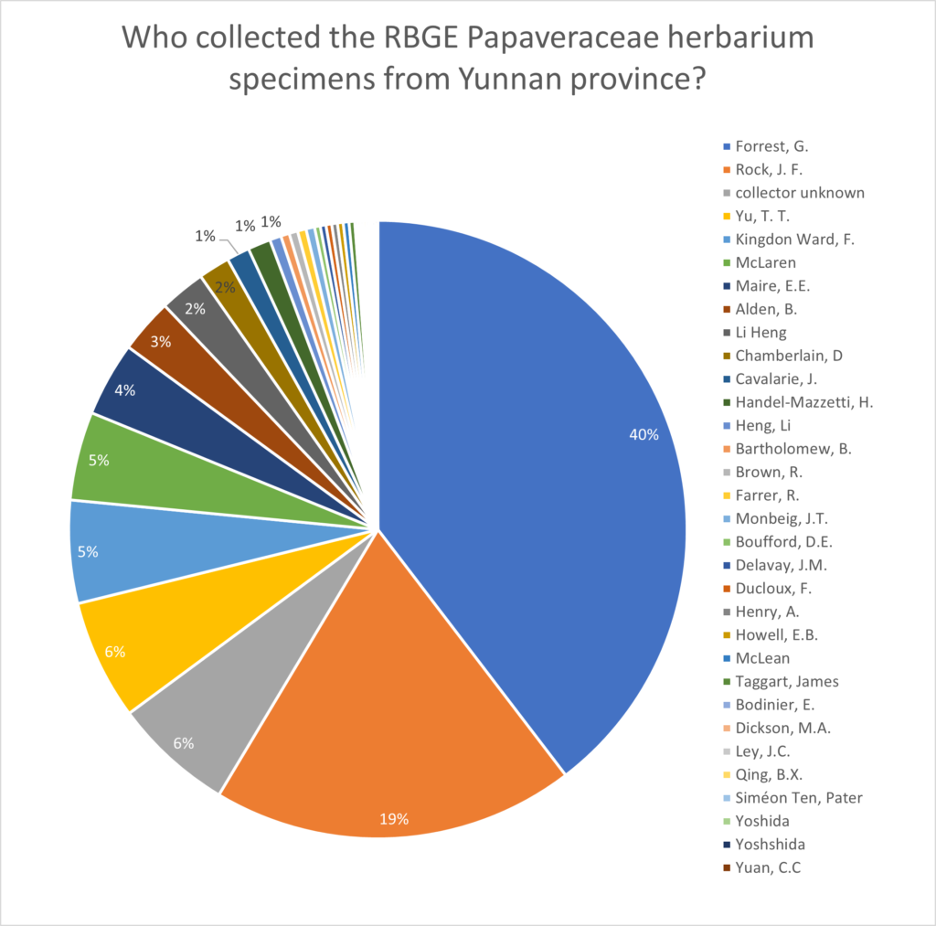 A pie chart showing the proportion of Papaveraceae specimens collected by different botanists in Yunnan Province, China. Of the 31 collectors who collected in this province George Forrest collected 40% of the specimens and Joseph Rock 19%. The remaining collectors collected 6% or less of the collection.