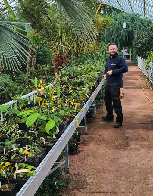 Horticulturist Szymon Drozdek stands in a glasshouse surrounded by plants