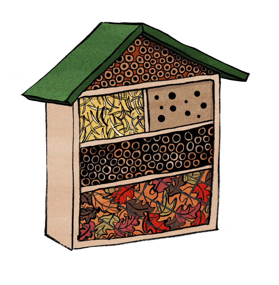 bug hotel 1