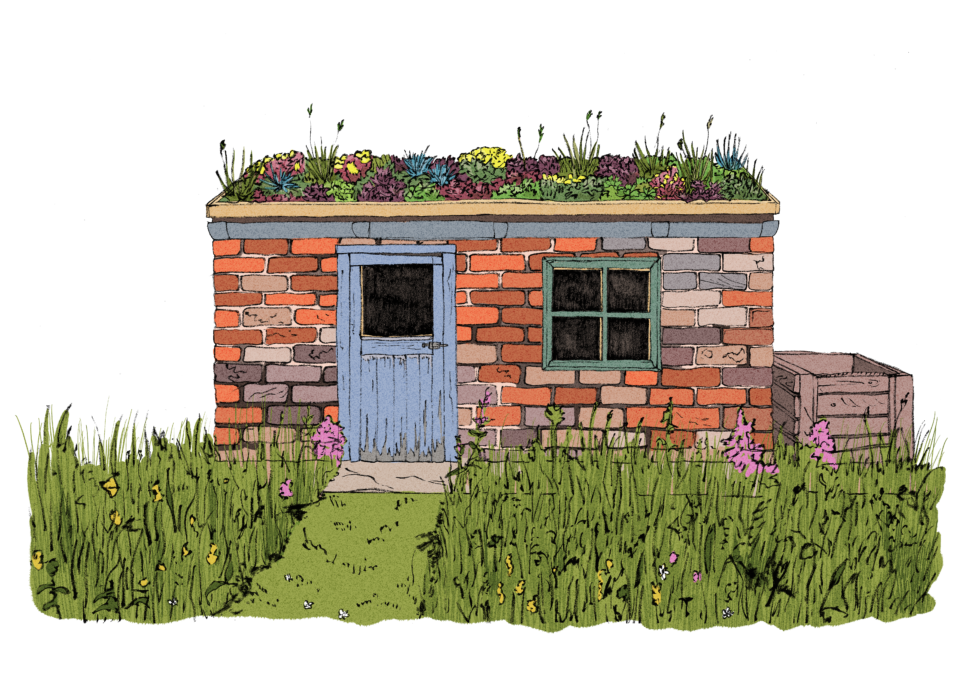 green roof shed 2