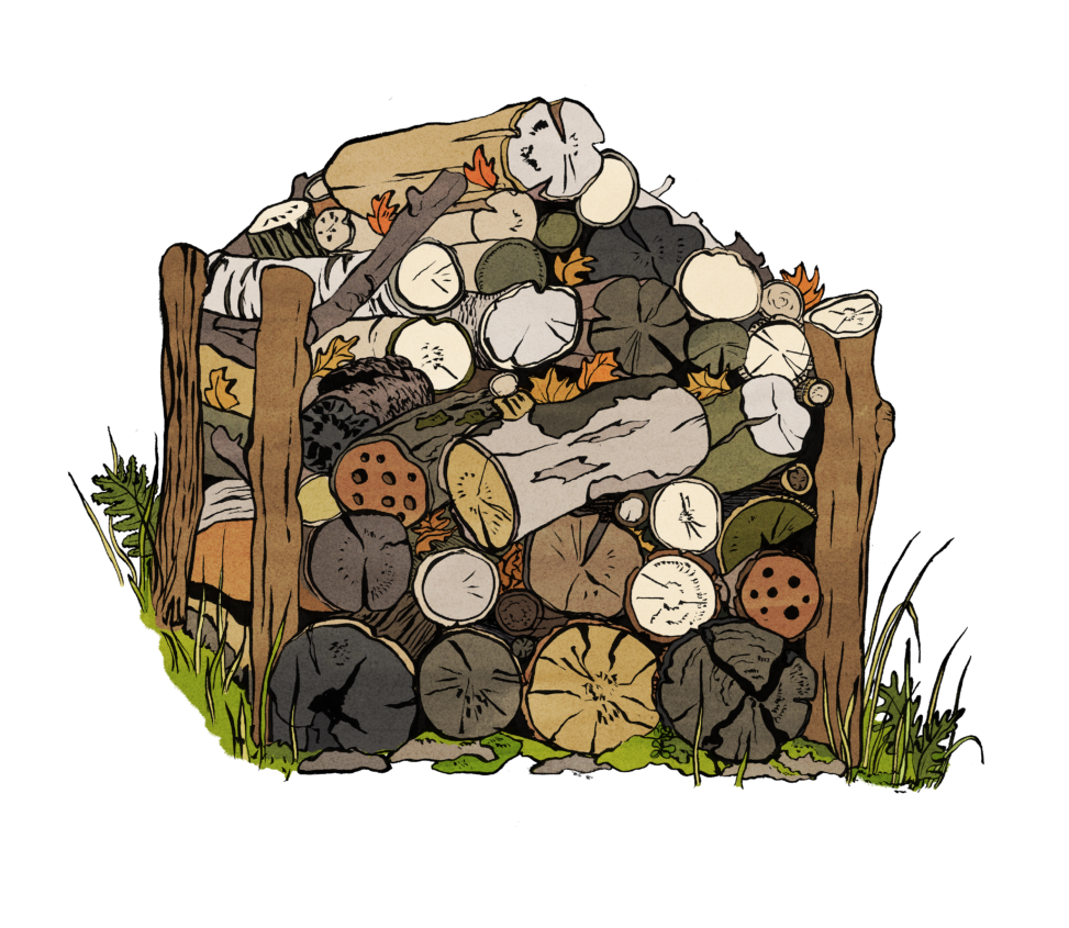 log pile