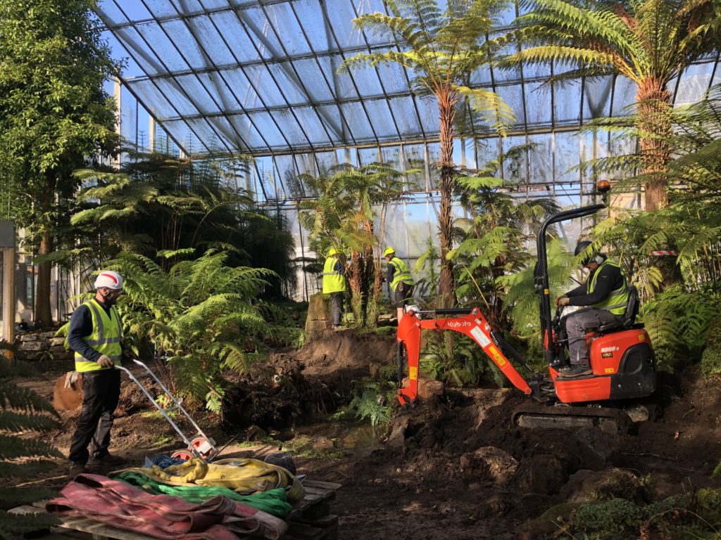 Multiple horticulturists work in a glasshouse to remove plants and planted area