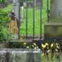 Close up of grave showing tulips in early bloom with visitors on main cemetery through path behind DSC09771