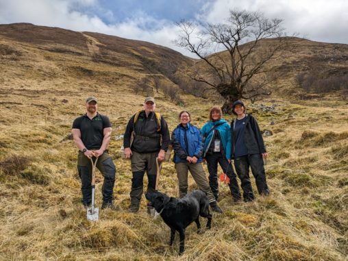 Group of tree planters with a black dog in front of ancient wych elm
