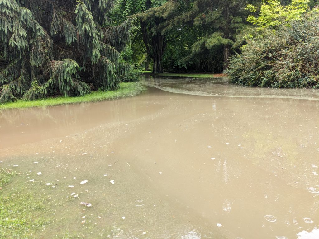 flooded path 4