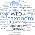 simplewordcloud.com 1024 1