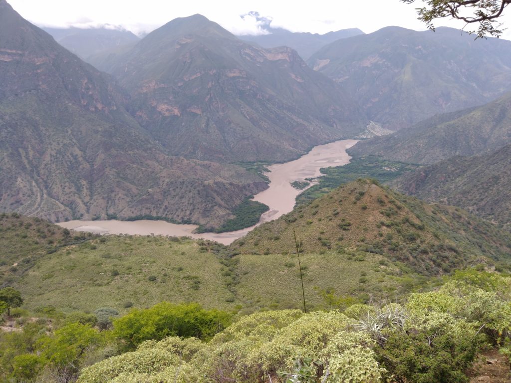 A view across Marañon valley near Ucuncha in Peru. In the foreground are pale-leaved shrubs of Croton. In the background a wide brown river and towering mountains. Photograph taken by Zoë Goodwin.