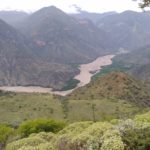 A view across Marañon valley near Ucuncha in Peru. In the foreground are pale-leaved shrubs of Croton. In the background a wide brown river and towering mountains. Photograph taken by Zoë Goodwin.