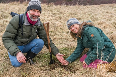 Two people planting a wych elm