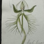 WhatsApp Image 2024 11 20 at 11.57.22 0d3bd237