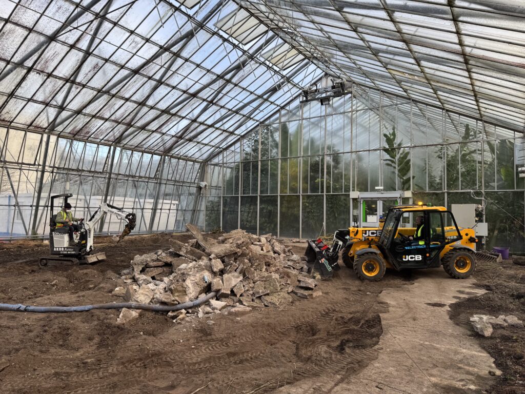 A mini digger and electric telehandler move rubble inside a glasshouse