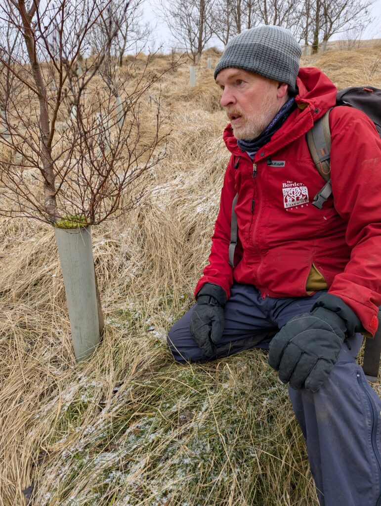 Adrian with tree tube