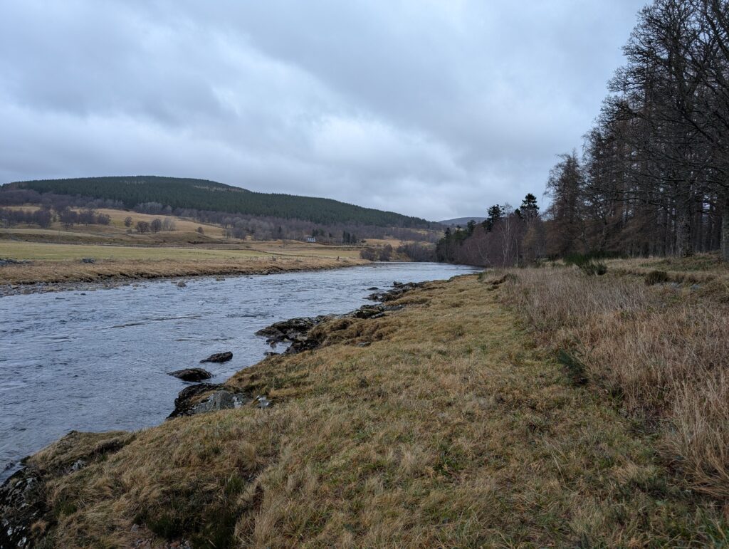 Dee view downstream