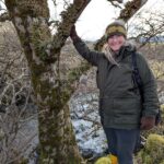 Woman with old elm tree