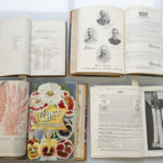 RS9692 Nursery catalogue cabinet and examples 006 scr