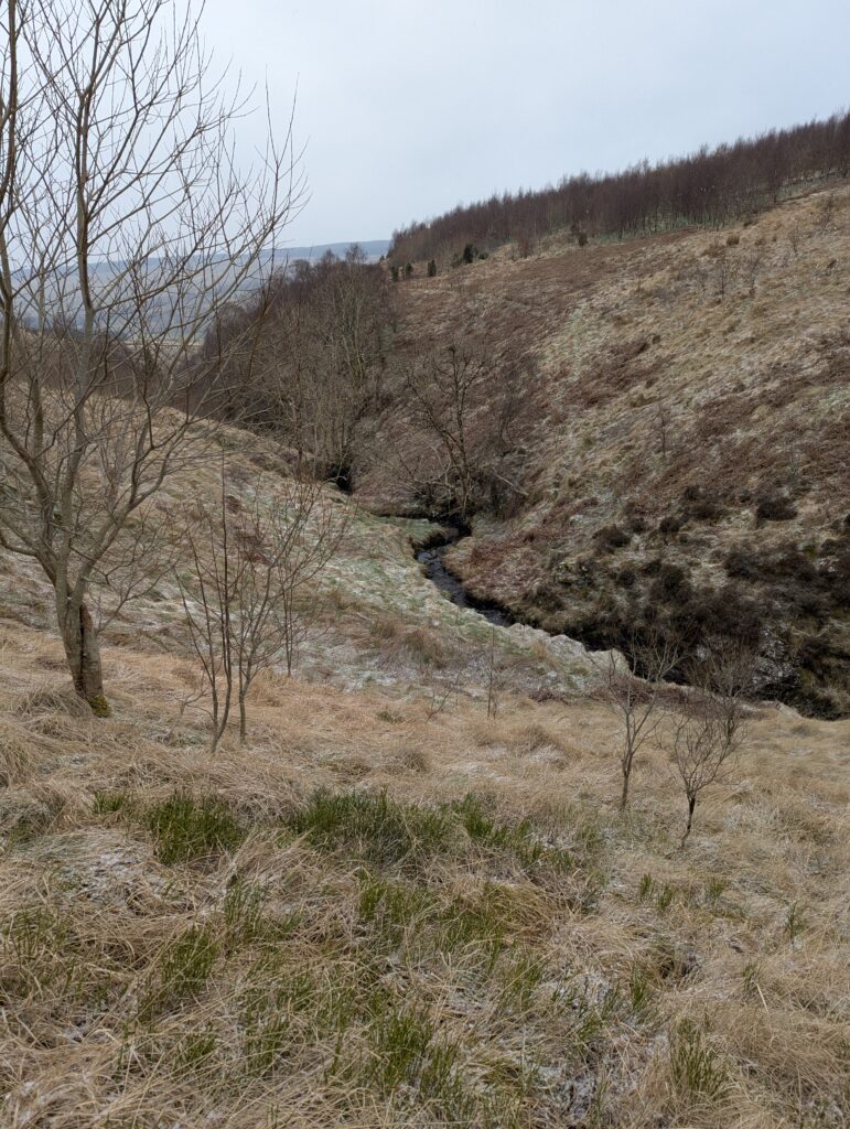 Tweedhope burn looking downstream