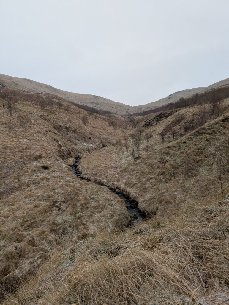 Tweedhope burn looking upstream