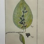 WhatsApp Image 2025 07 11 at 12.25.42 8c9c2585