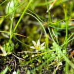 WhatsApp Image 2025 07 15 at 17.16.57 d1456cef