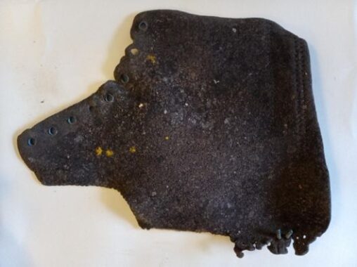 Lichens using an old leather boot as a substrate.