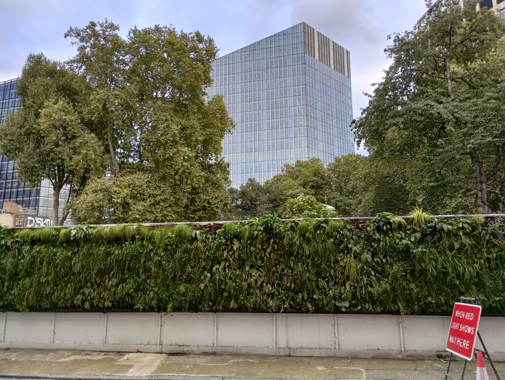 IMG 20240924 174403 HDR