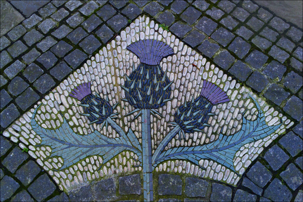 Stone/tile, Thistle mosaic, near the Scottish National Portrait Gallery, Queen Street, Edinburgh 
By dun_deagh, CC BY-SA 2.0 