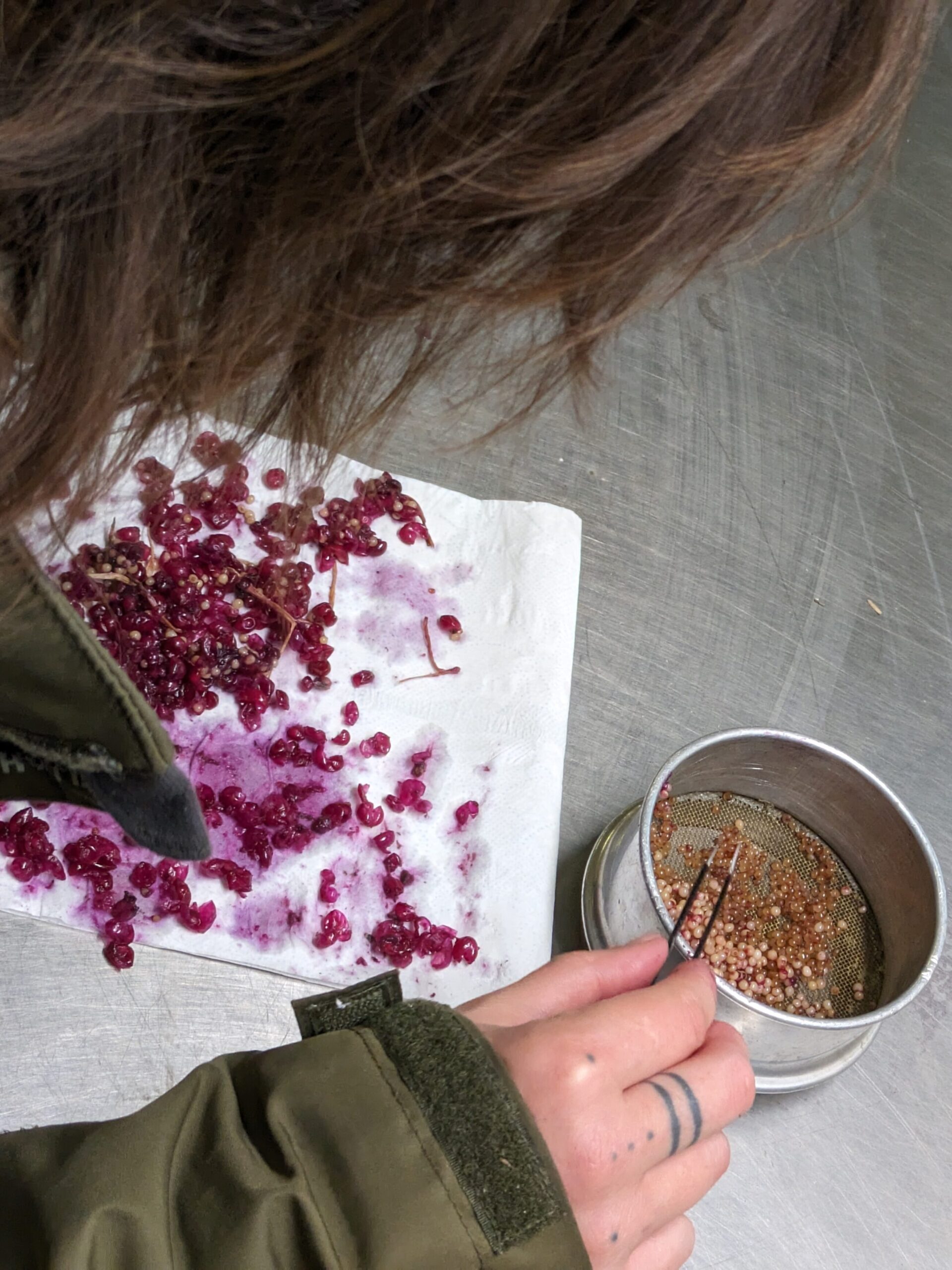 PXL 20230925 075311892.MP