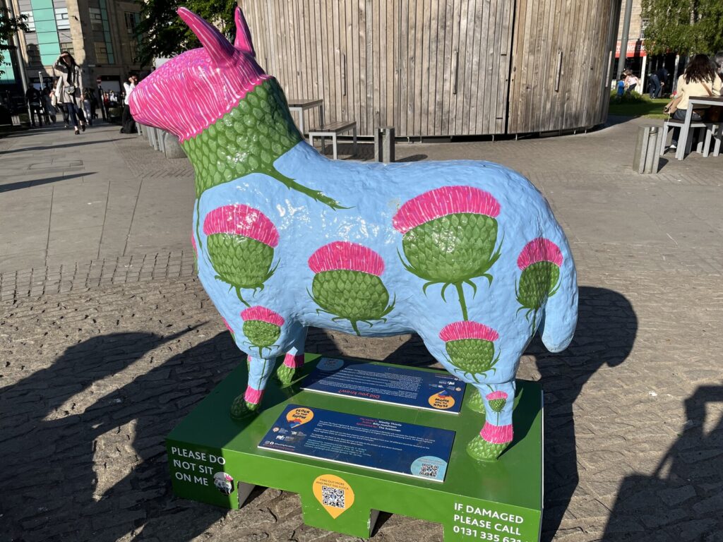 ‘Woolly Thistle’ by Billy Hutchison. From ‘Flock to the Show’, a public art trail (2023) in St. Andrews Square, Edinburgh 

by Jennifer Petrie, CC BY-SA 2.0 
