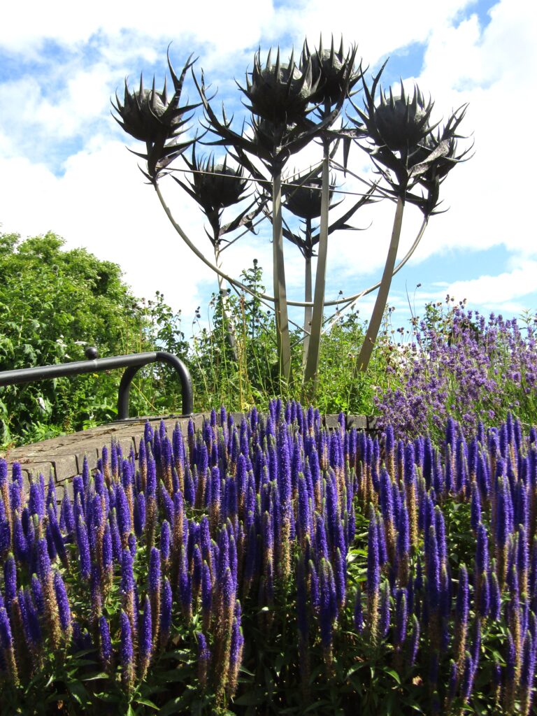 Thistle sculpture by David F. Wilson, North Inch Park, Perth – part of ‘Thistle Galore’ project 
By Colin Smith, CC BY-SA 2.0 