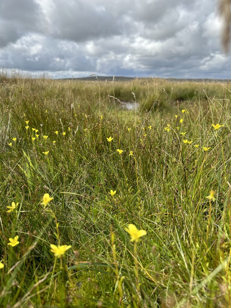 20230901 113908336 iOS