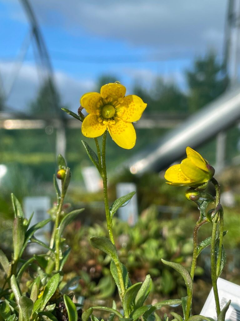 216d006e 38cf 452c 8a83 34707288090c