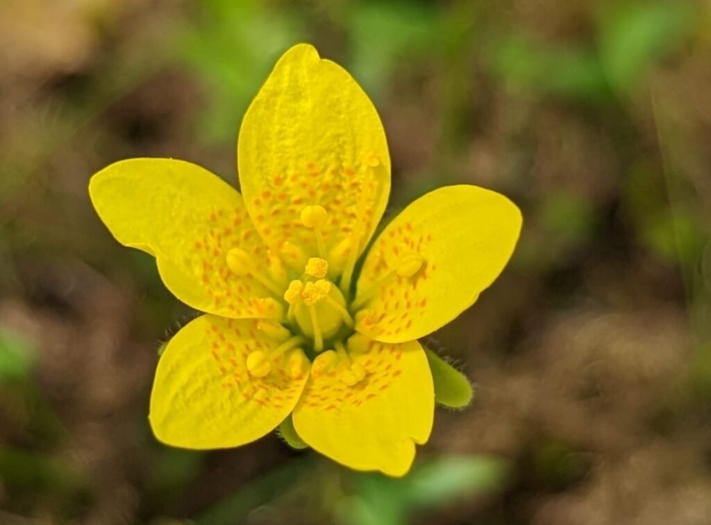 Screenshot 2026 04 17 112105