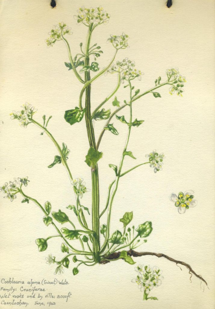 Figure Six