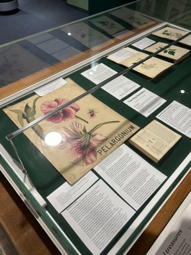 Picture5 Exhibition showing Hutton Balfour teaching diagram