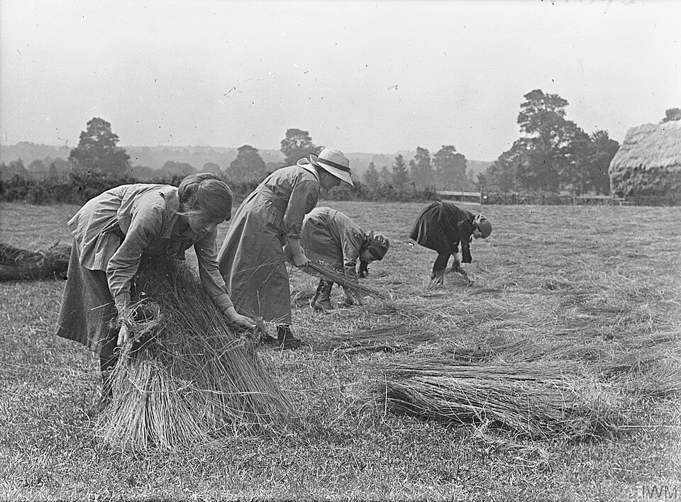 College girls laying out flax for dew ripening on a farm in Yeovil, Somerset (c.1915-1918)
Photographer: Horace Nicholls. © Imperial War Museums (Q 30902)