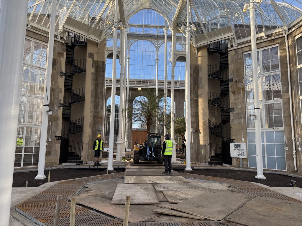 An expansive view inside the Palm Houses. Two men stand as a telehandler moves another large tall palm into the domed glasshouse.