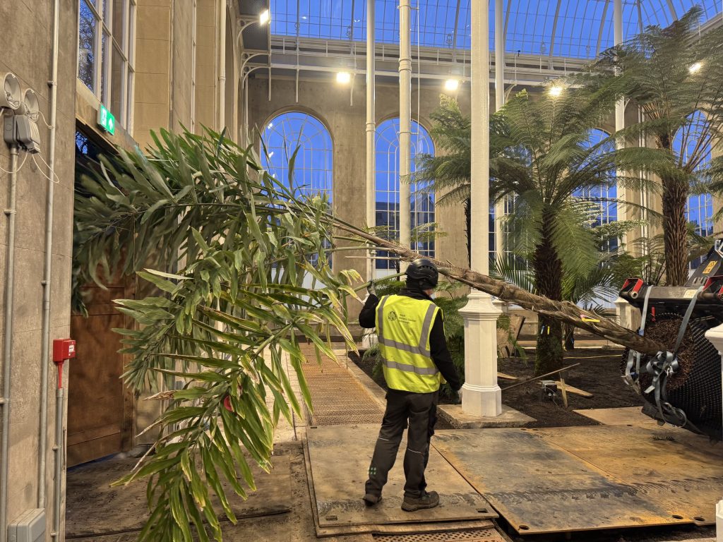 A horizontal palm moves into the Palm House.