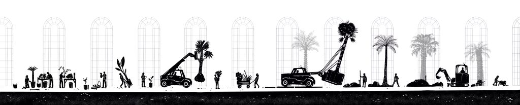Black and white illustration of small character moving plants. Illustration: Kevin Bannon