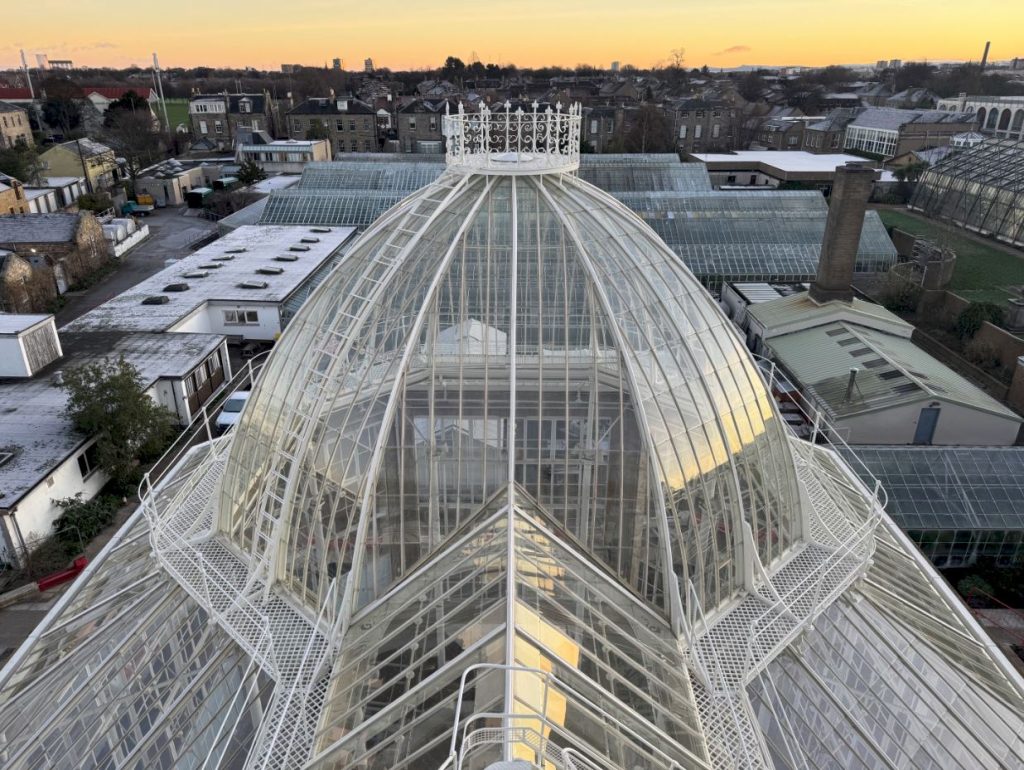 Sunrise view from atop the Palm House. The new glass dome shines under a yellow morning sky.