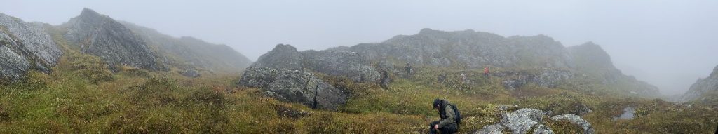 IMG 4897